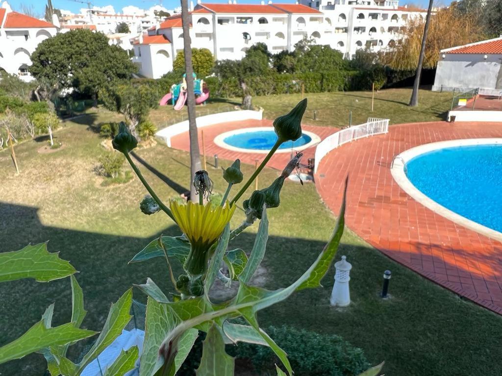 Painel De Albufeira Leilighet Eksteriør bilde
